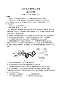 2025年高考押题预测卷:生物(全国卷01)(考试版)