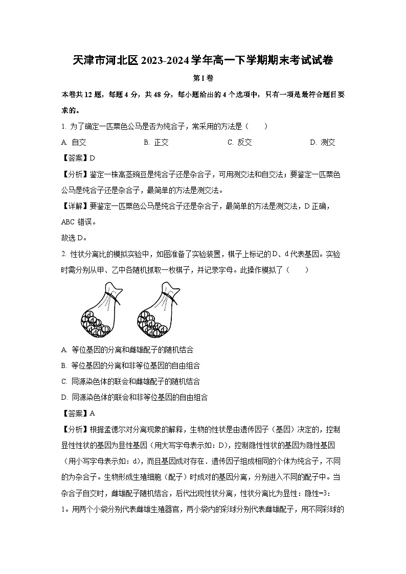 天津市河北区2023-2024学年高一下学期期末考试生物试卷(解析版)第1页