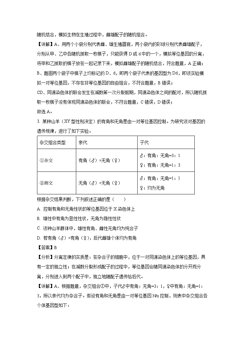 天津市河北区2023-2024学年高一下学期期末考试生物试卷(解析版)第2页