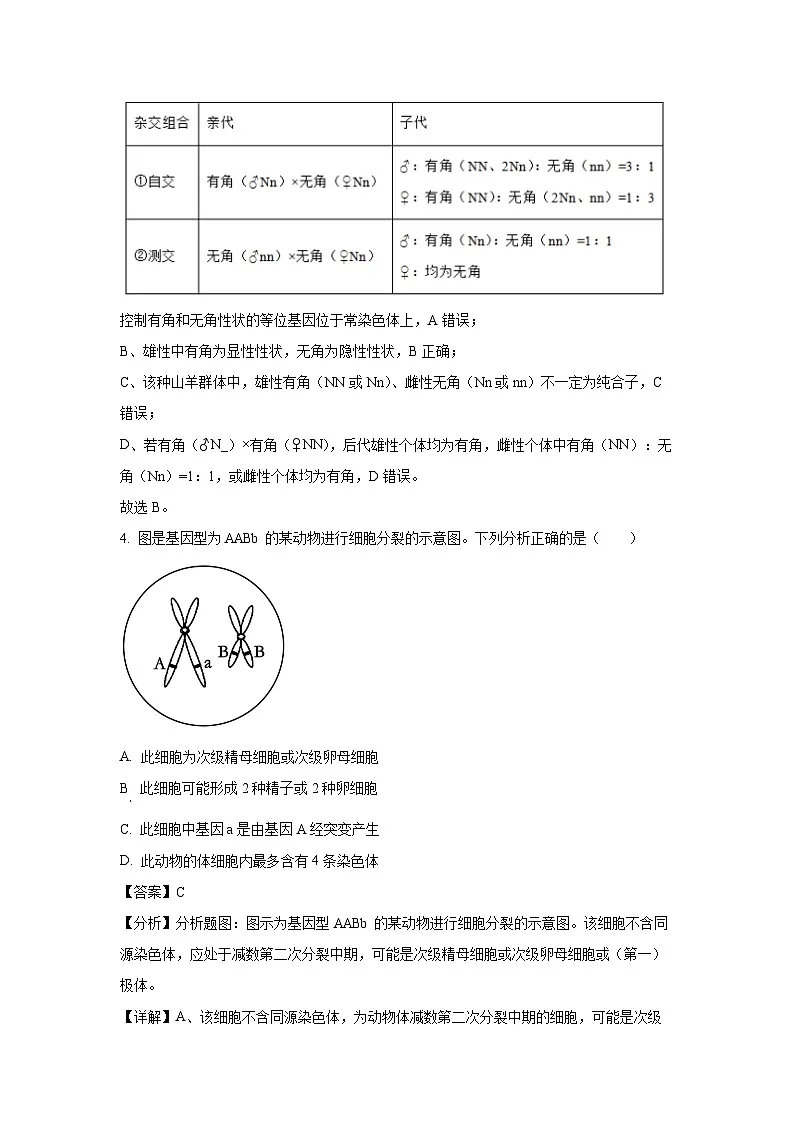 天津市河北区2023-2024学年高一下学期期末考试生物试卷(解析版)第3页