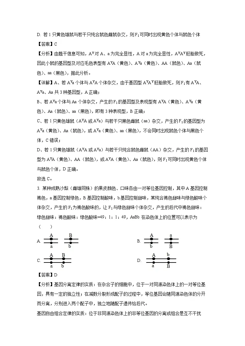 陕西省西安市西安市部分学校联考2024-2025学年高一下学期3月月考生物试题(解析版)第2页
