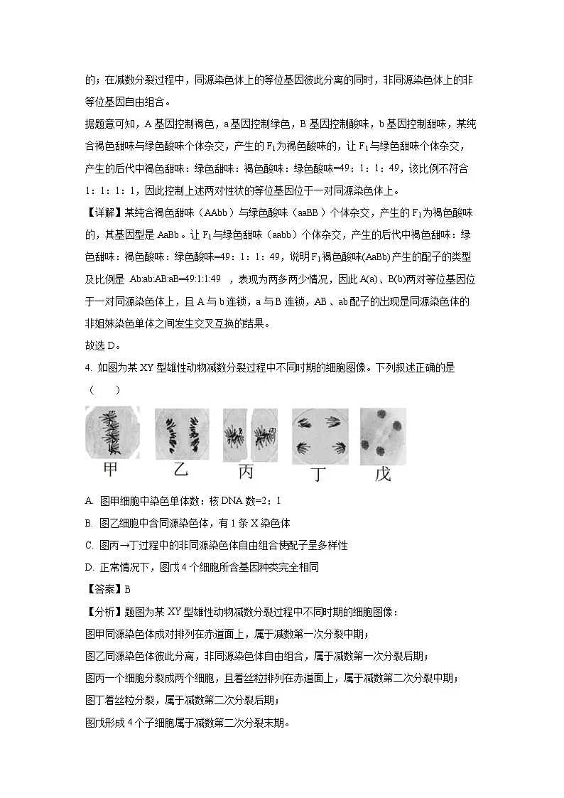 陕西省西安市西安市部分学校联考2024-2025学年高一下学期3月月考生物试题(解析版)第3页