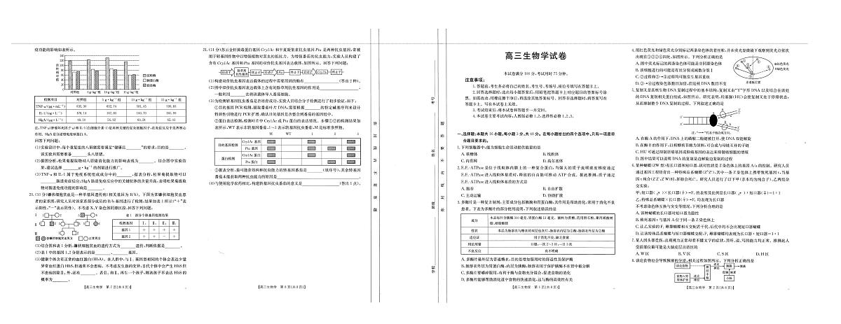 2025届青海省海东市高三下学期第四次模拟联考生物试题(高考模拟)第1页
