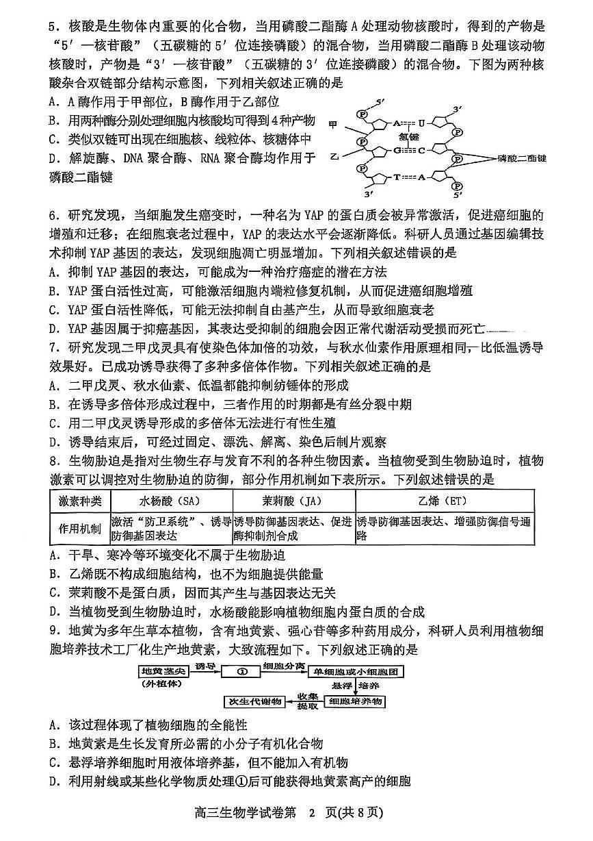 辽宁省丹东市2025届高三下学期总复习质量测试(二)生物试卷(PDF版附答案)第2页