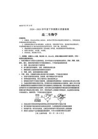 河南省三门峡市2024-2025学年高二下学期5月期末考试生物试题（PDF版附答案）