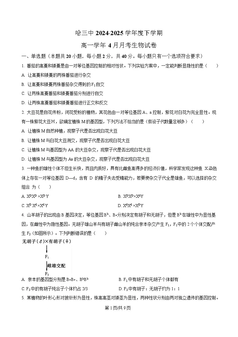黑龙江省哈尔滨市第三中学校2024-2025学年高一下学期4月月考生物试题(原卷版)第1页