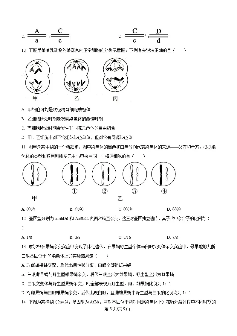 黑龙江省哈尔滨市第三中学校2024-2025学年高一下学期4月月考生物试题(原卷版)第3页