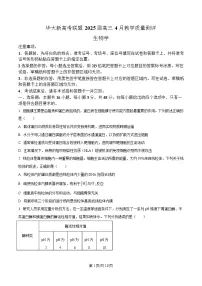 华大新高考联盟2025届高三下学期4月教学质量测评生物试题（Word版附解析）