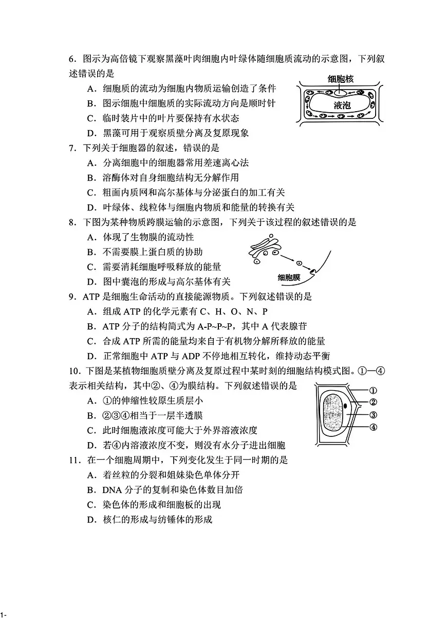 2024年山东省普通高中学业水平合格考试高二生物夏季合格考会考试题(无答案)第2页