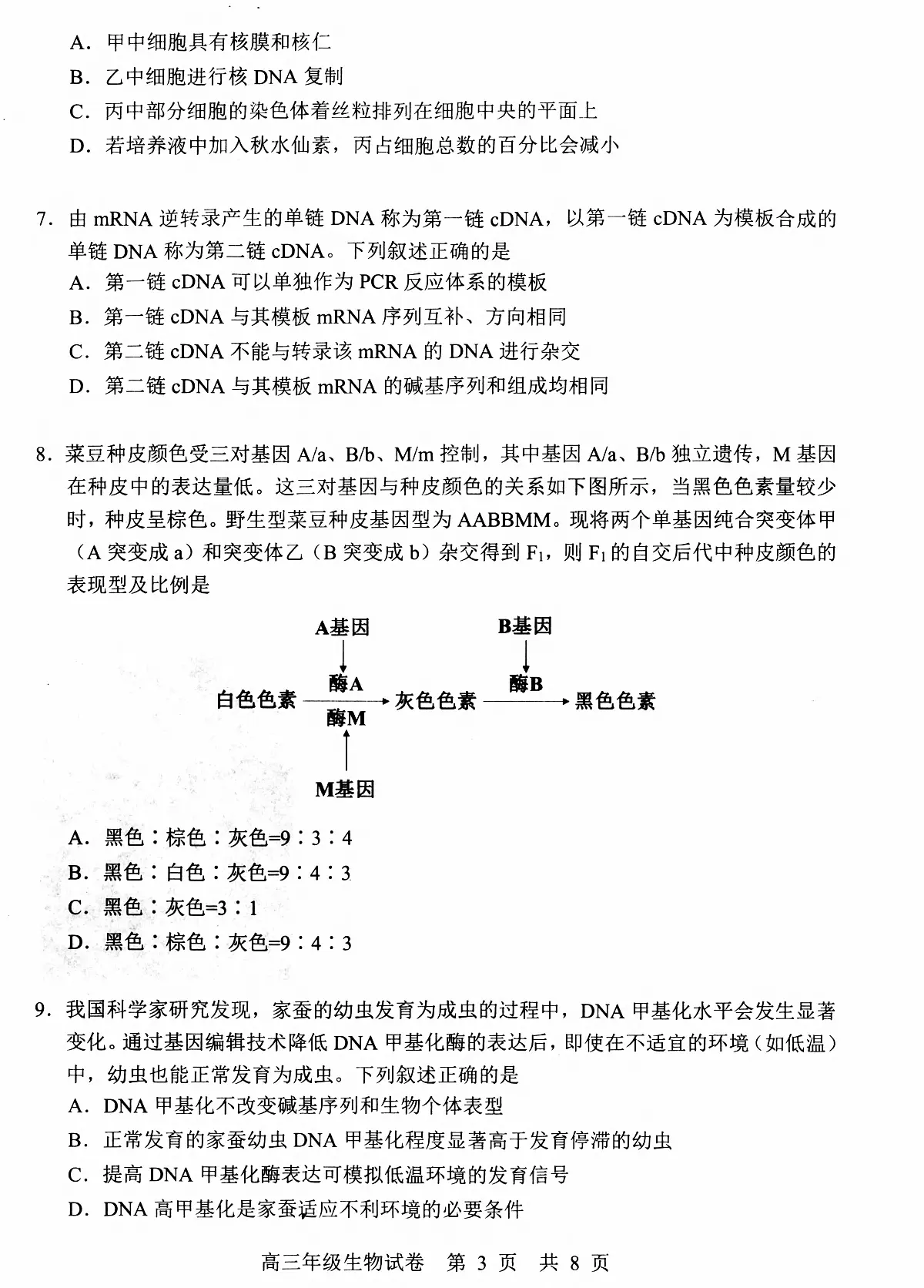生物丨湖北省武昌区2025届高三下学期5月质量检测试卷及答案第3页