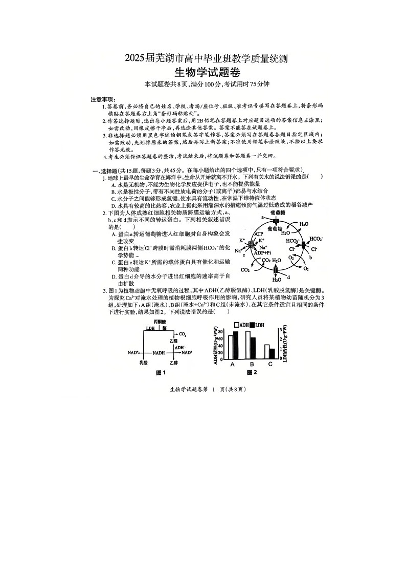安徽省蕪湖2025年高三二模教學(xué)質(zhì)量統(tǒng)測生物試卷含答案第1頁