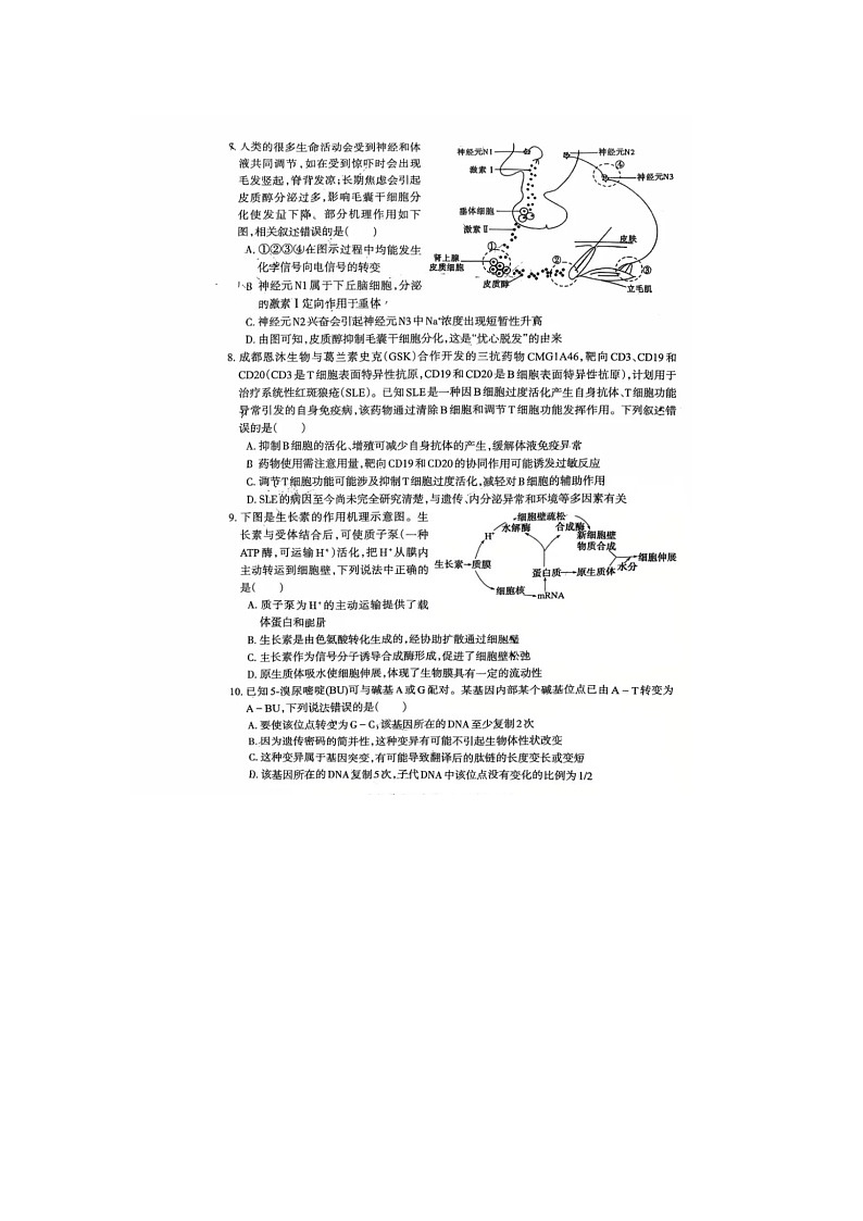 安徽省蕪湖2025年高三二模教學(xué)質(zhì)量統(tǒng)測生物試卷含答案第3頁