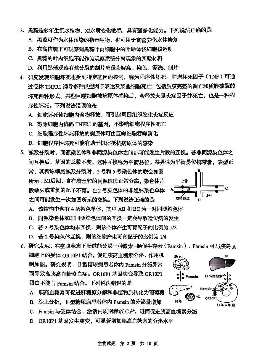 2025届山东省青岛市高三二模考试 生物试卷(含答案)第2页