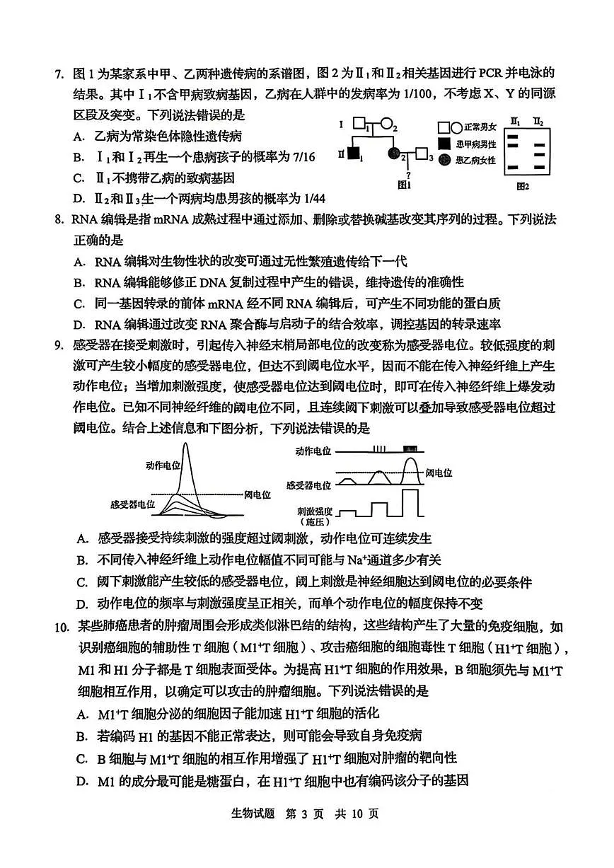 2025届山东省青岛市高三二模考试 生物试卷(含答案)第3页