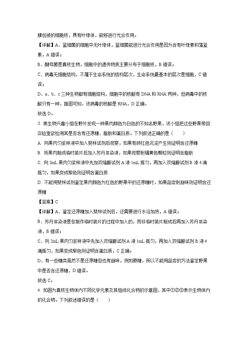 河南省濮阳市2024-2025学年高一上学期1月期末生物试题(解析版)第2页
