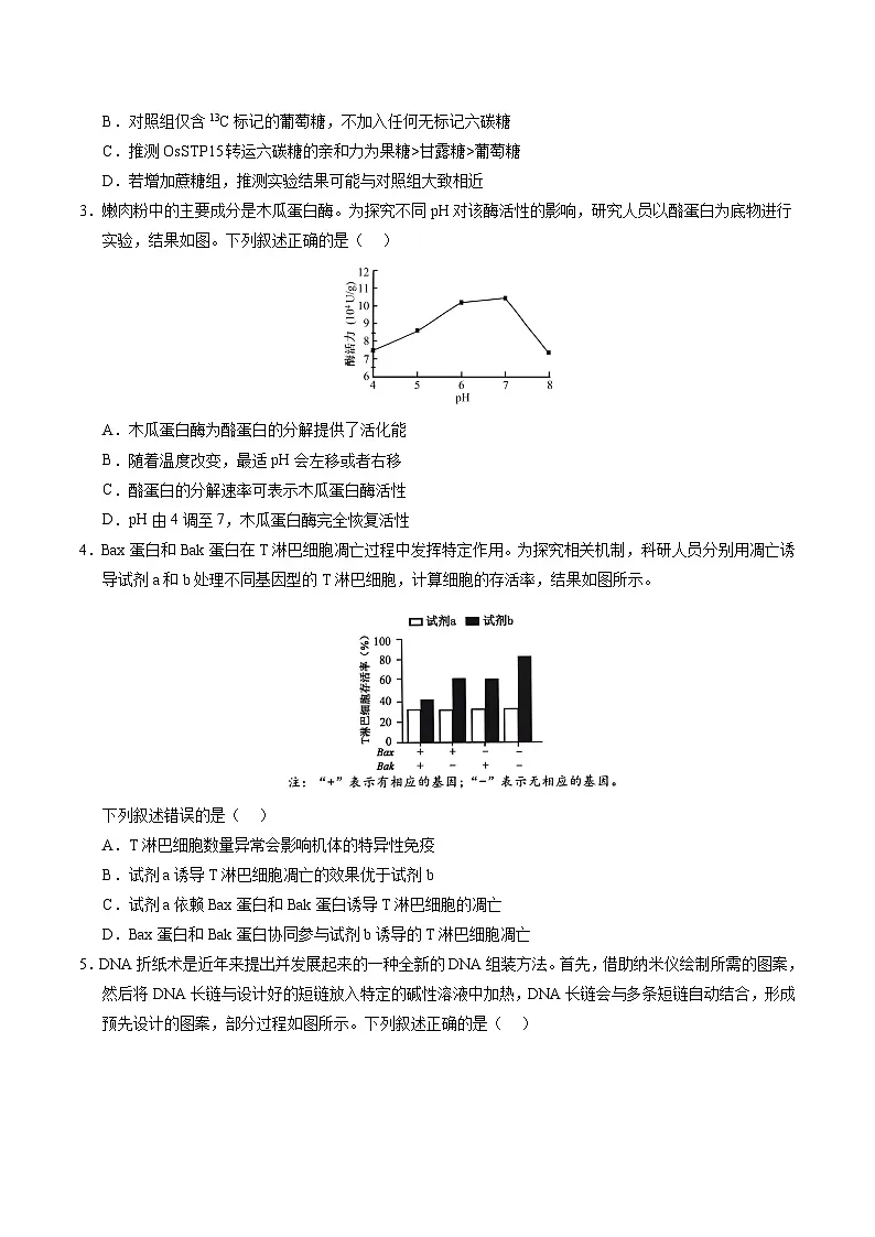 2025年高考押题预测卷:生物(重庆卷02)(考试版)第2页