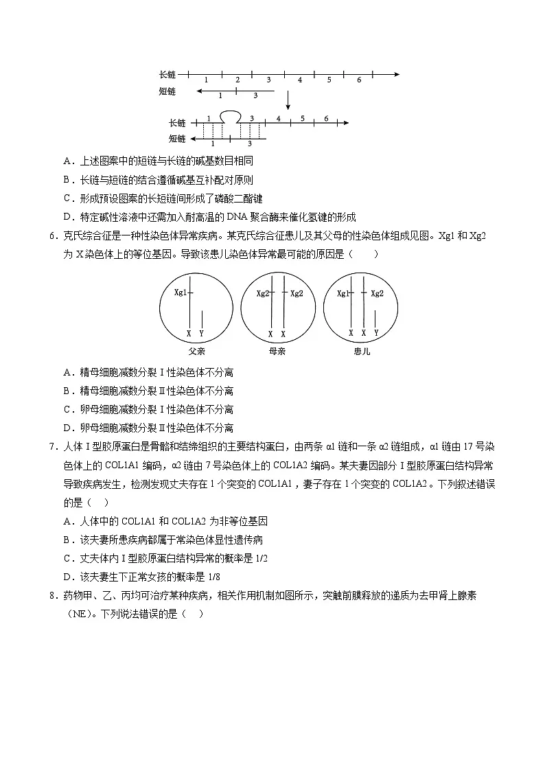 2025年高考押题预测卷:生物(重庆卷02)(考试版)第3页