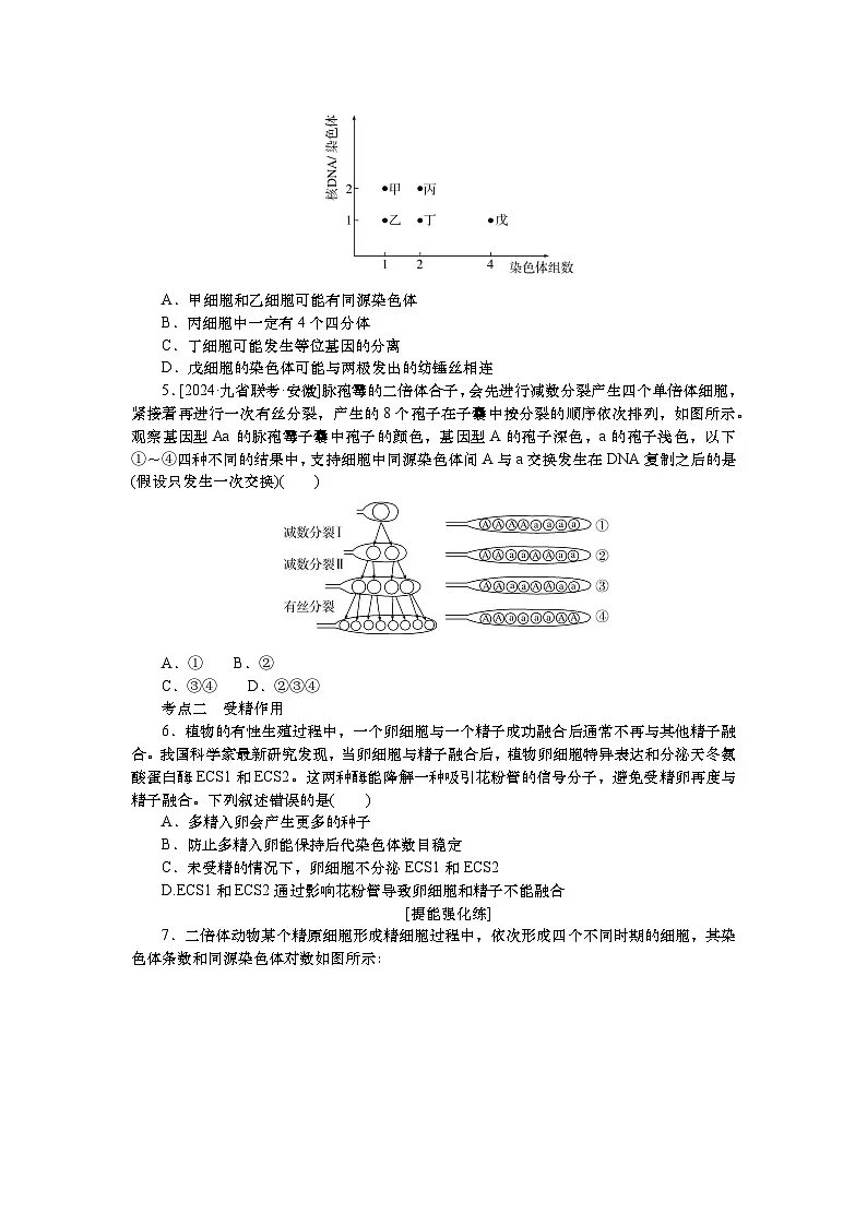 2025届高考生物学一轮复习检测练习13 减数分裂和受精作用(一)(含解析)第2页