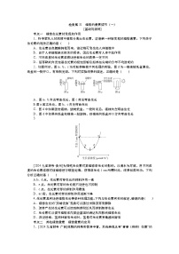 2025届高考生物学一轮复习检测练习31 植物的激素调节(一)(含解析)
