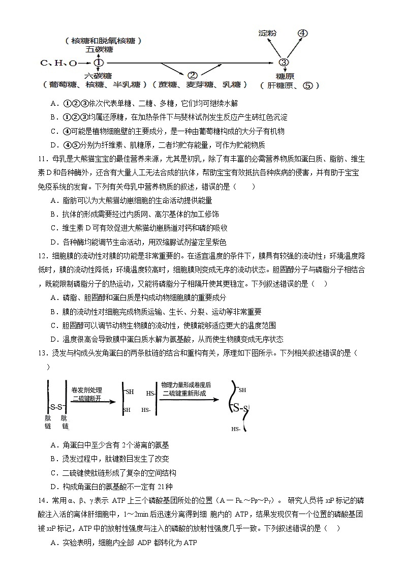 高考生物一轮复习讲练测第一单元 细胞的概述及其组成分子(测试)(原卷版)第3页