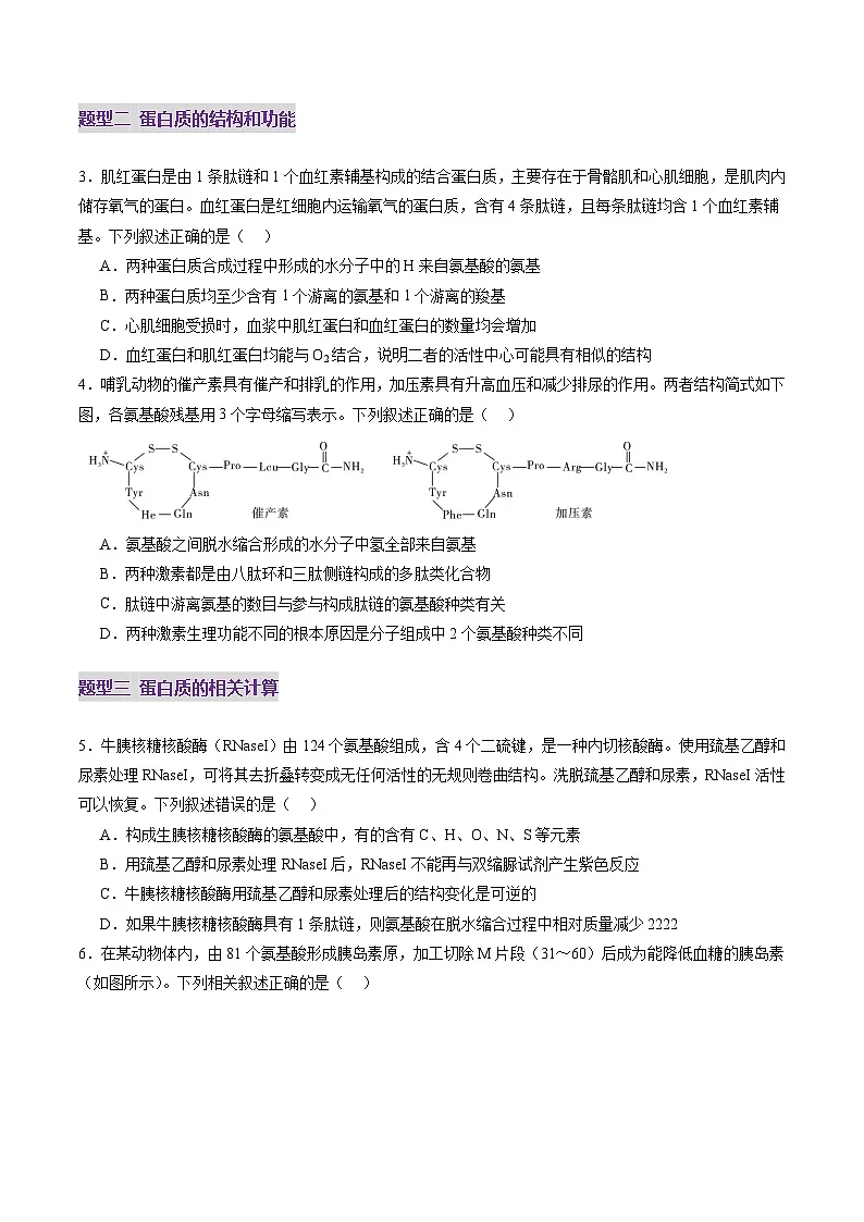 高考生物一轮复习讲练测第04讲 蛋白质和核酸(练习)(原卷版)第2页