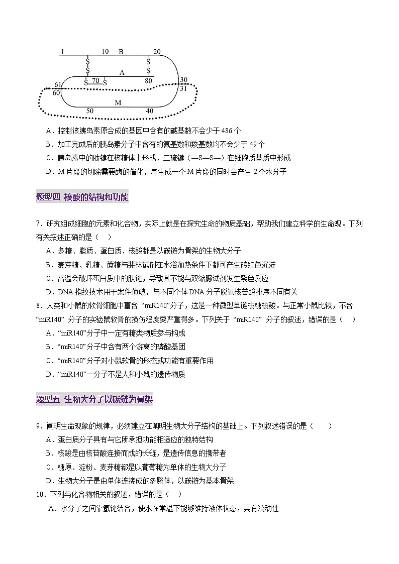 高考生物一轮复习讲练测第04讲 蛋白质和核酸(练习)(原卷版)第3页