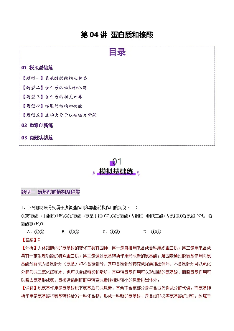 高考生物一轮复习讲练测第04讲 蛋白质和核酸(练习)(解析版)第1页