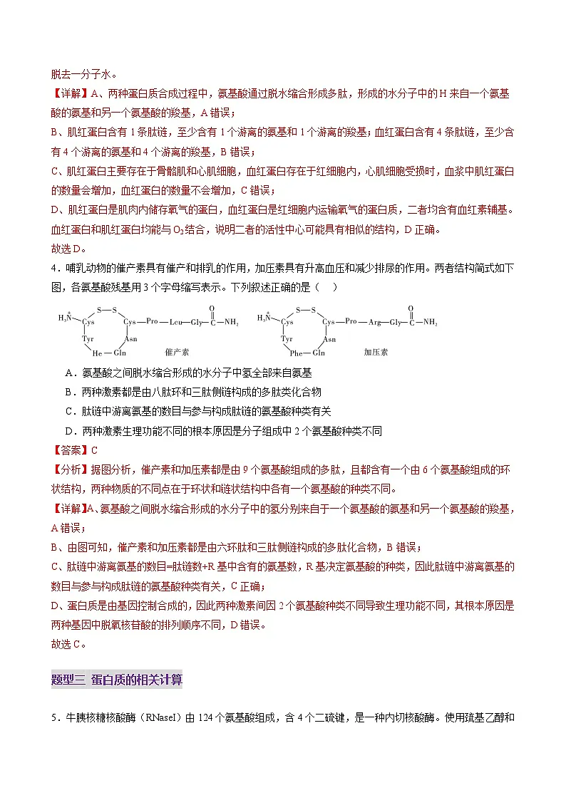 高考生物一轮复习讲练测第04讲 蛋白质和核酸(练习)(解析版)第3页