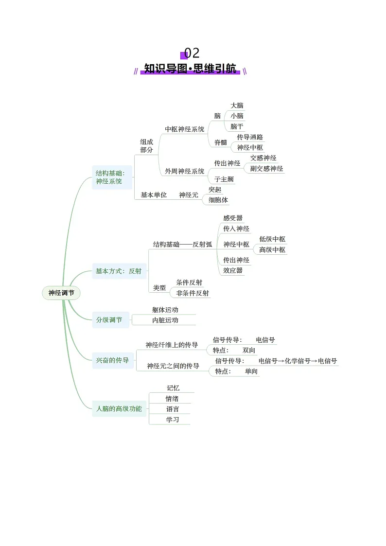 高考生物一轮复习讲练测第25讲 神经调节(第二课时,神经冲动的产生和传导、神经系统的分级调节和人脑的高级功能)(讲义)(原卷版)第3页