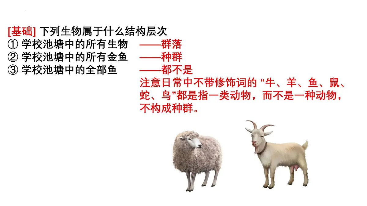 高考生物一轮复习精优课件第27讲 种群数量及其动态第4页