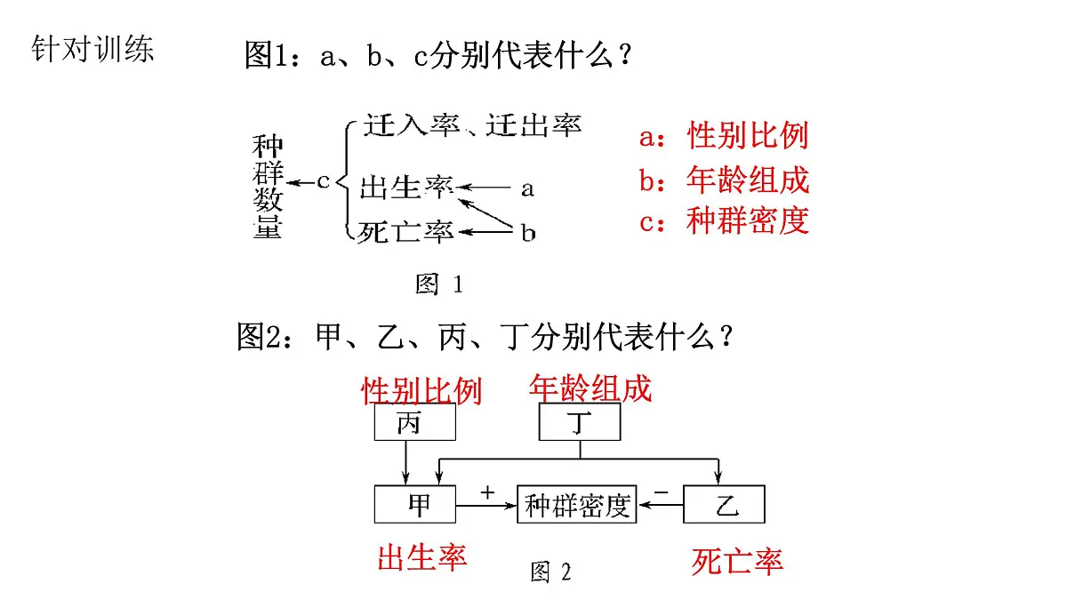 高考生物一轮复习精优课件第27讲 种群数量及其动态第8页