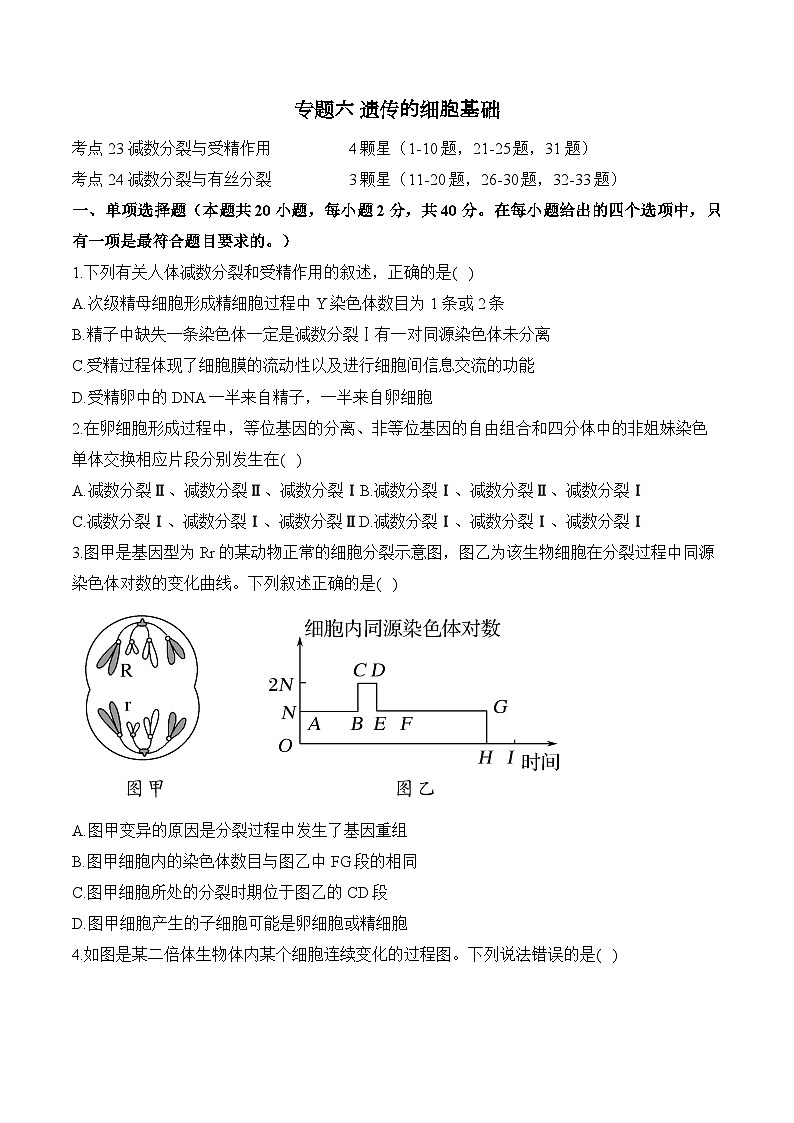 高考生物一轮复习考点剖析练习专题六 遗传的细胞基础(含解析)第1页