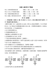 高考生物一轮复习考点剖析练习专题七 遗传的分子基础（含解析）
