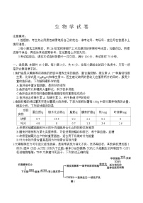 重庆市第八中学2025届高三下学期三诊生物试卷（Word版附答案）