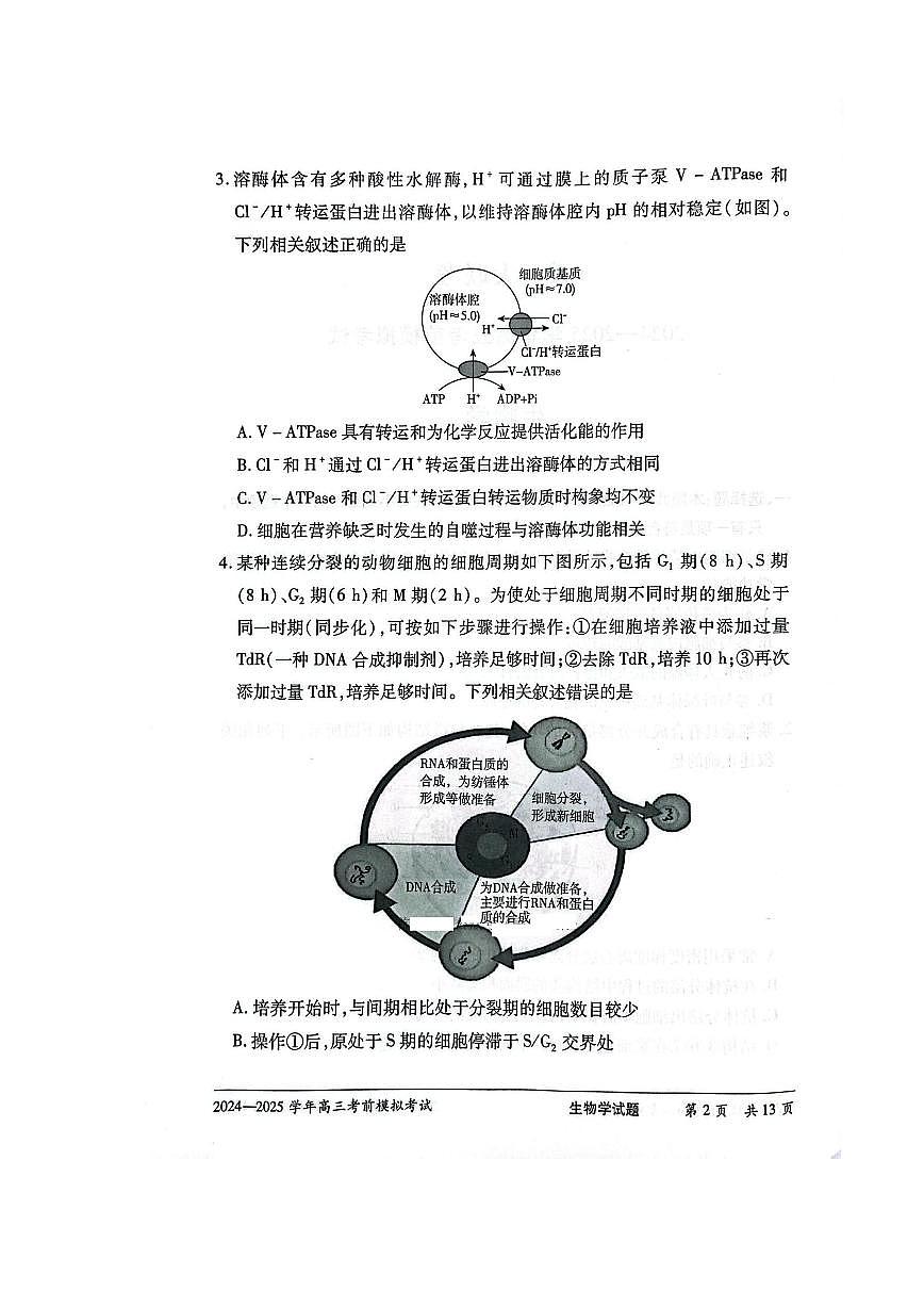 河南省2024-2025學(xué)年天一大聯(lián)考高三高考考前模擬考試 生物試卷（含答案）第2頁