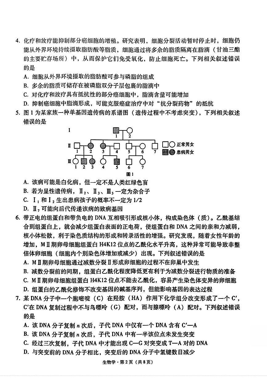 生物試題+2025屆西南名校聯(lián)盟高三高考（3+3+3）模擬試卷及答案（四）第2頁