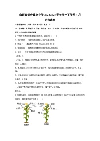 山西省部分重点中学2024-2025学年高一下学期4月月考生物试题（解析版）