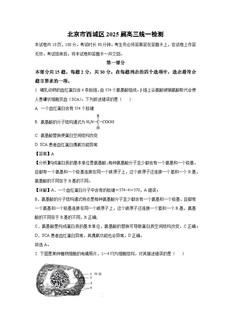 北京市西城区2025届高三统一检测生物试题(解析版)第1页