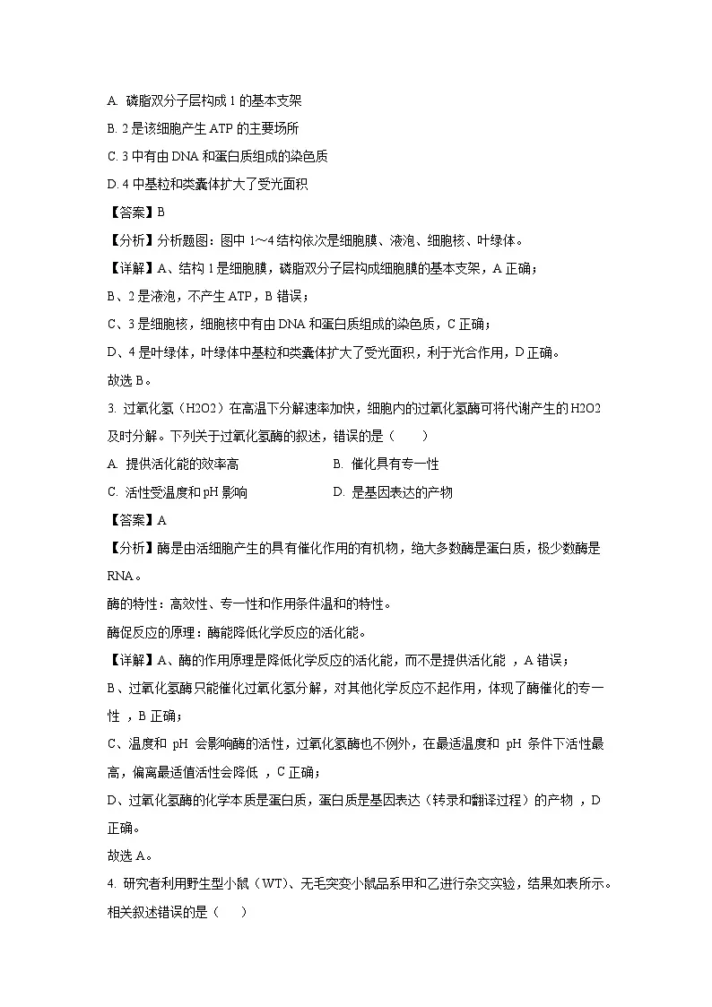北京市西城区2025届高三统一检测生物试题(解析版)第2页