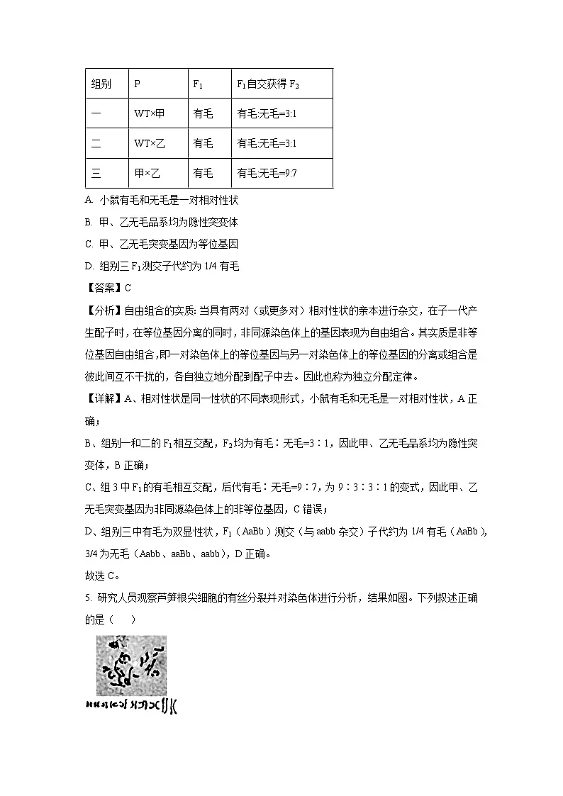 北京市西城区2025届高三统一检测生物试题(解析版)第3页