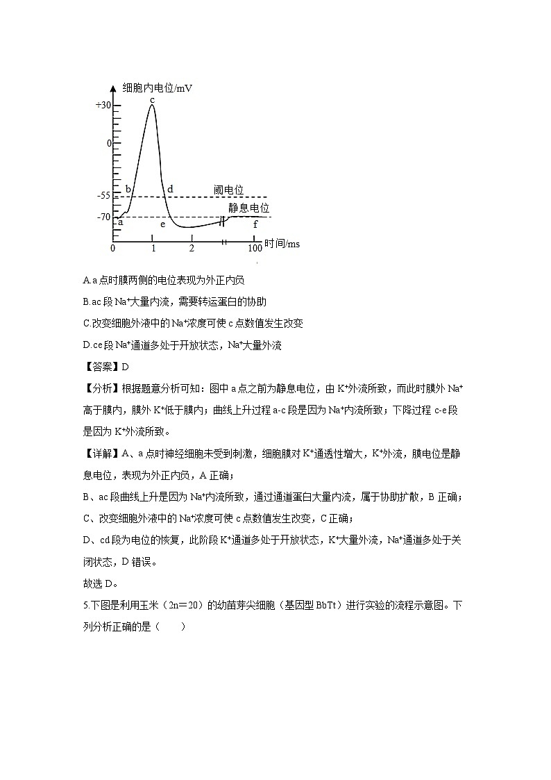 湖南省临湘市2024-2025学年高二上学期10月月考生物试题(解析版)第3页