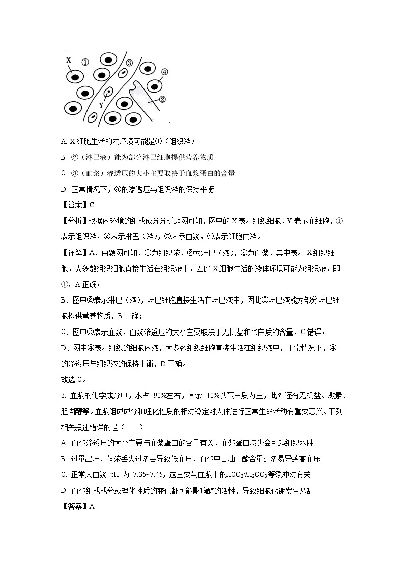 广西壮族自治区百色市名校2024-2025学年高二上学期10月月考生物试题(解析版)第2页
