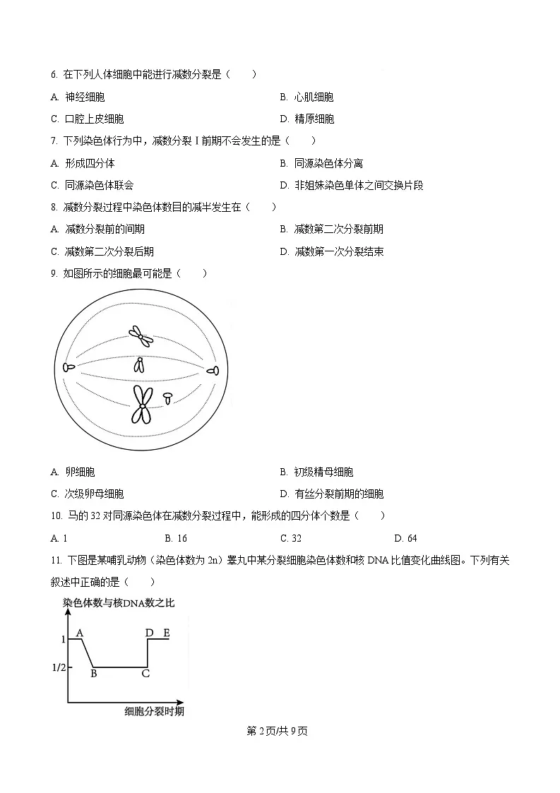 黑龙江省牡丹江市名校协作体2024-2025学年高一下学期3月月考生物试题(原卷版)第2页