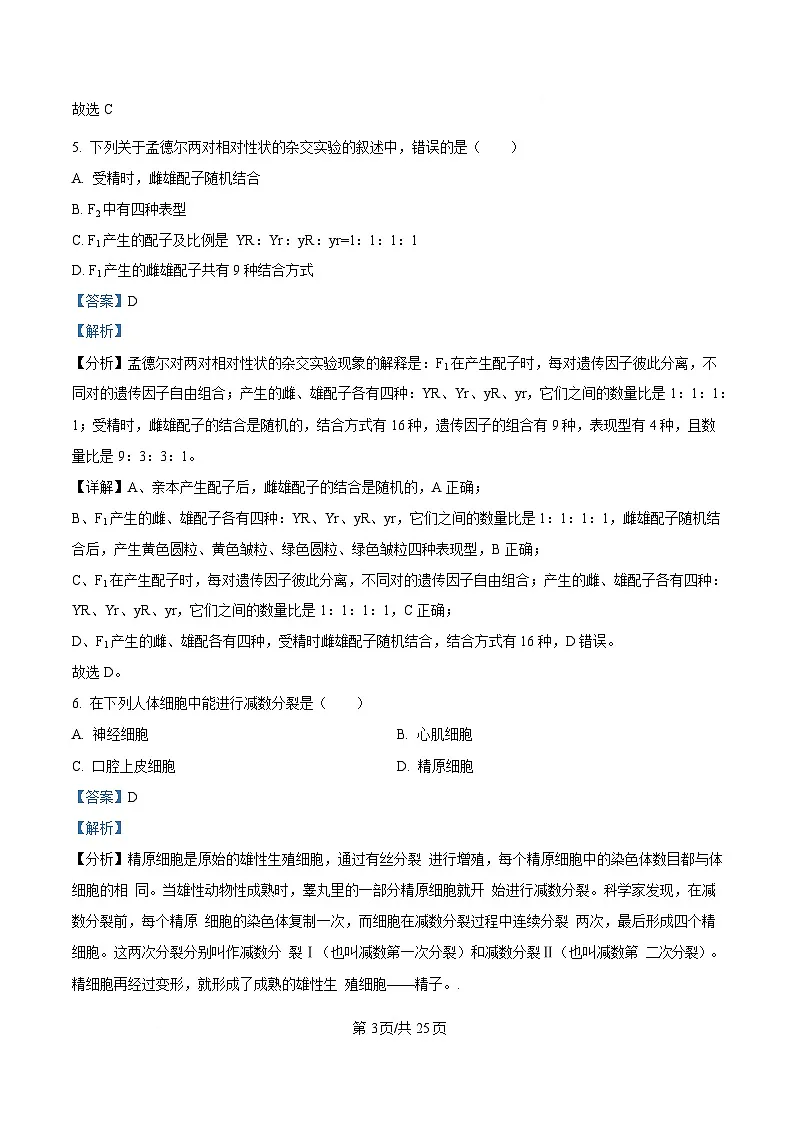 黑龙江省牡丹江市名校协作体2024-2025学年高一下学期3月月考生物试题 Word版含解析第3页