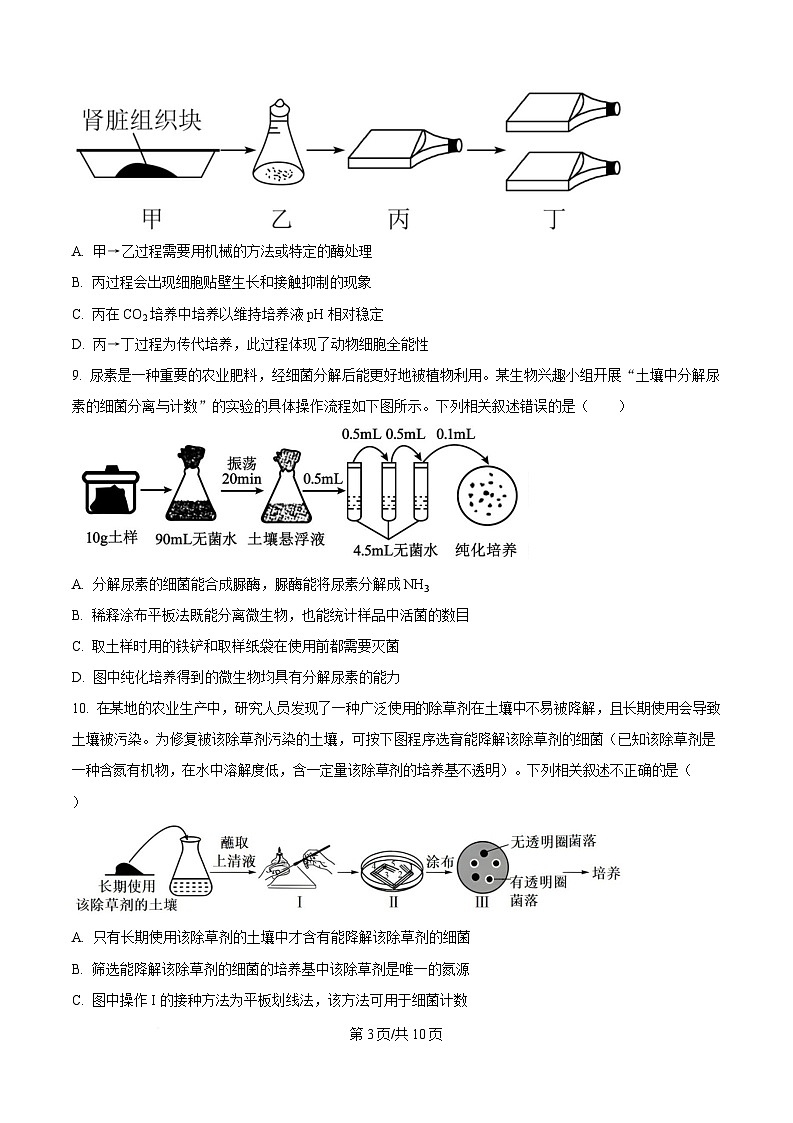 黑龙江省齐齐哈尔市第八中学校2024-2025学年高二下学期3月月考生物试题(原卷版)第3页