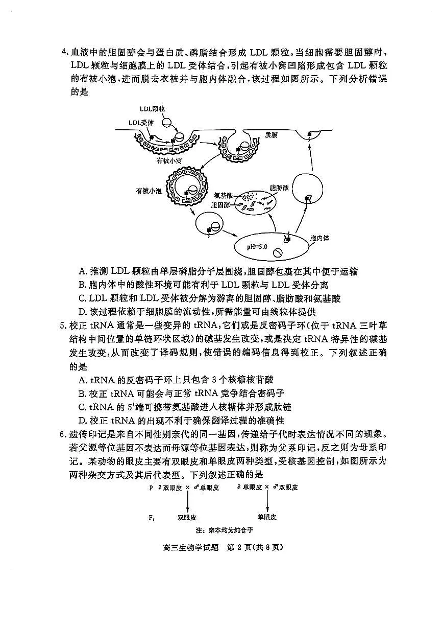 华师联盟2025届高三5月联考-生物试卷第2页