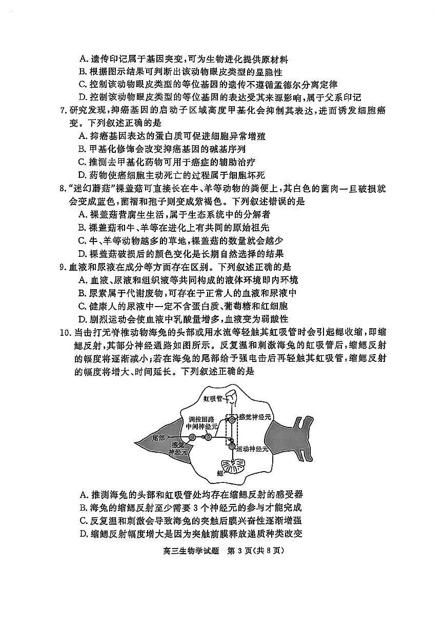华师联盟2025届高三5月联考-生物试卷第3页