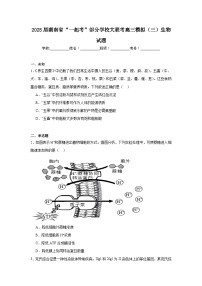 2025届湖南省“一起考”部分学校大联考高三模拟（三）生物试题（无答案）