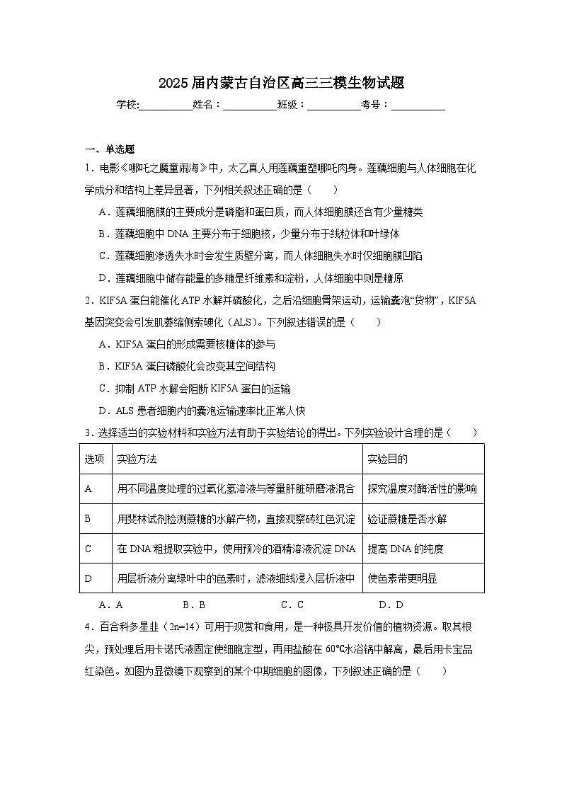 2025届内蒙古自治区高三三模生物试题(无答案)第1页