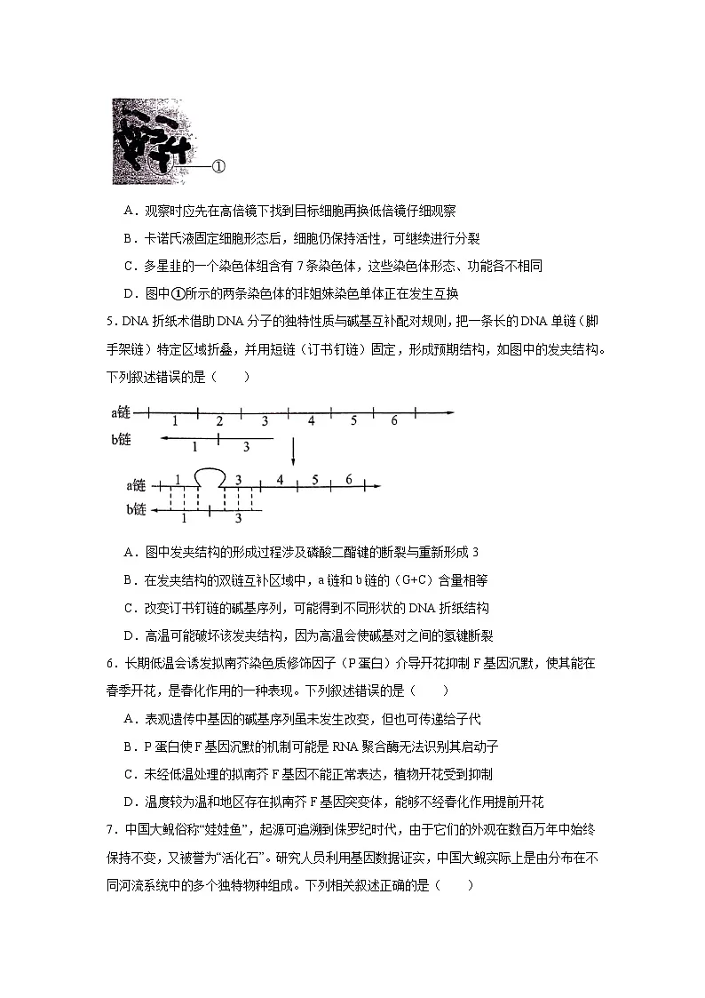 2025届内蒙古自治区高三三模生物试题(无答案)第2页